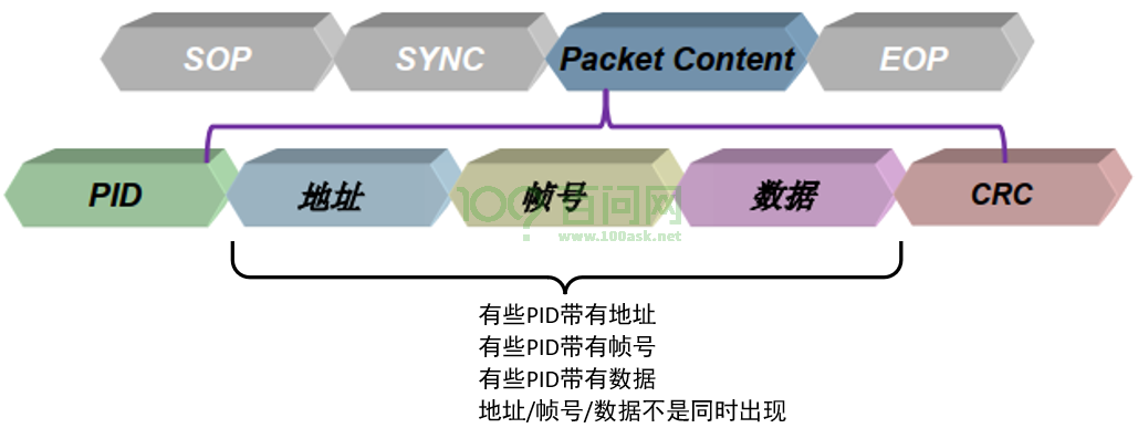 Packet内容